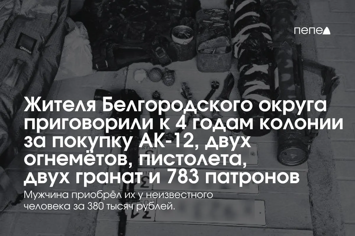 Жителя Белгорода приговорили к&nbsp;четырём годам за&nbsp;незаконную покупку АК‑12&nbsp;и&nbsp;огнемётов