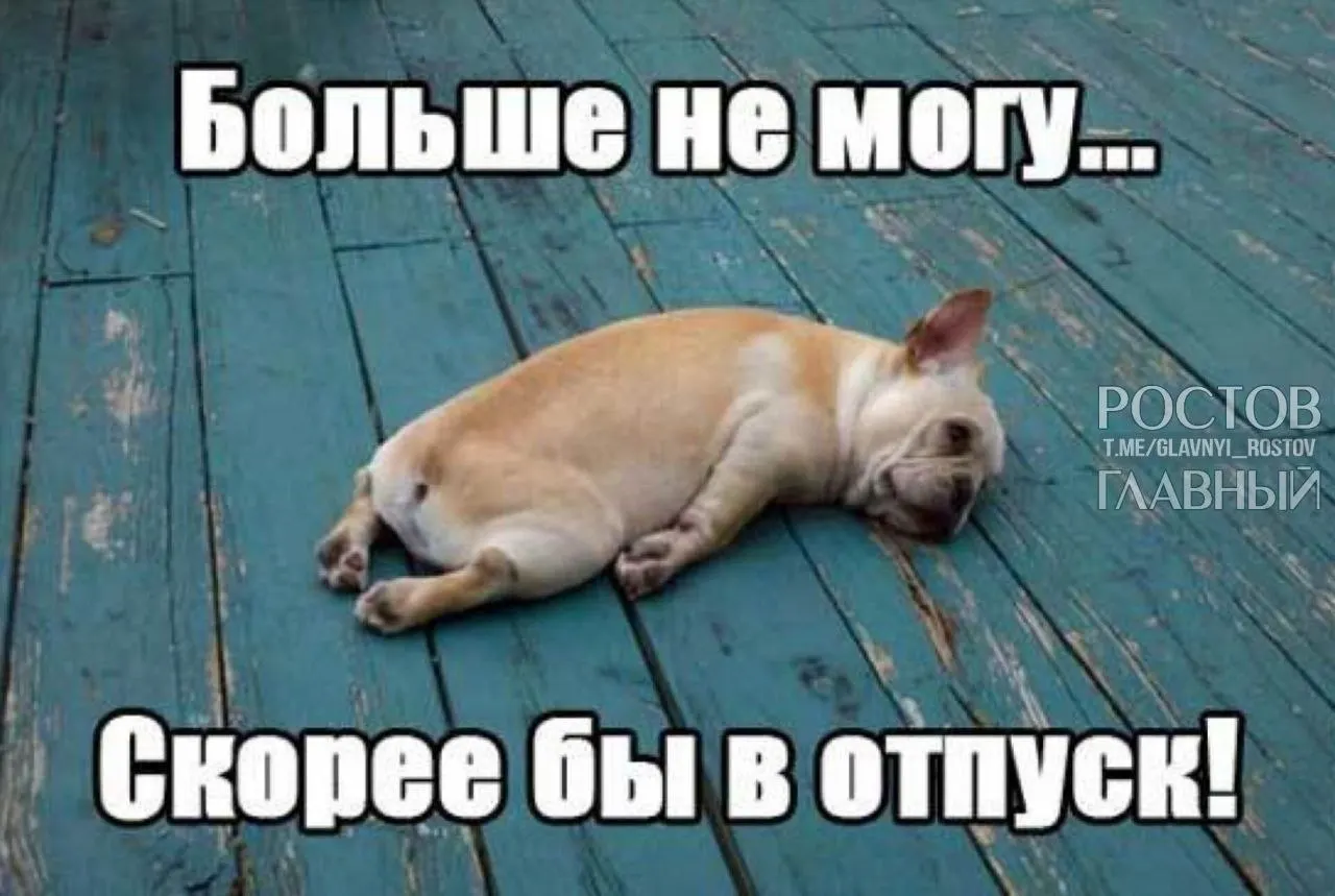 Депутаты Госдумы предлагают поднять минимальную продолжительность ежегодного отпуска с 28 до 35 дней, чтобы компенсировать включённые в отпуск выходные и снизить риск профессионального выгорания.