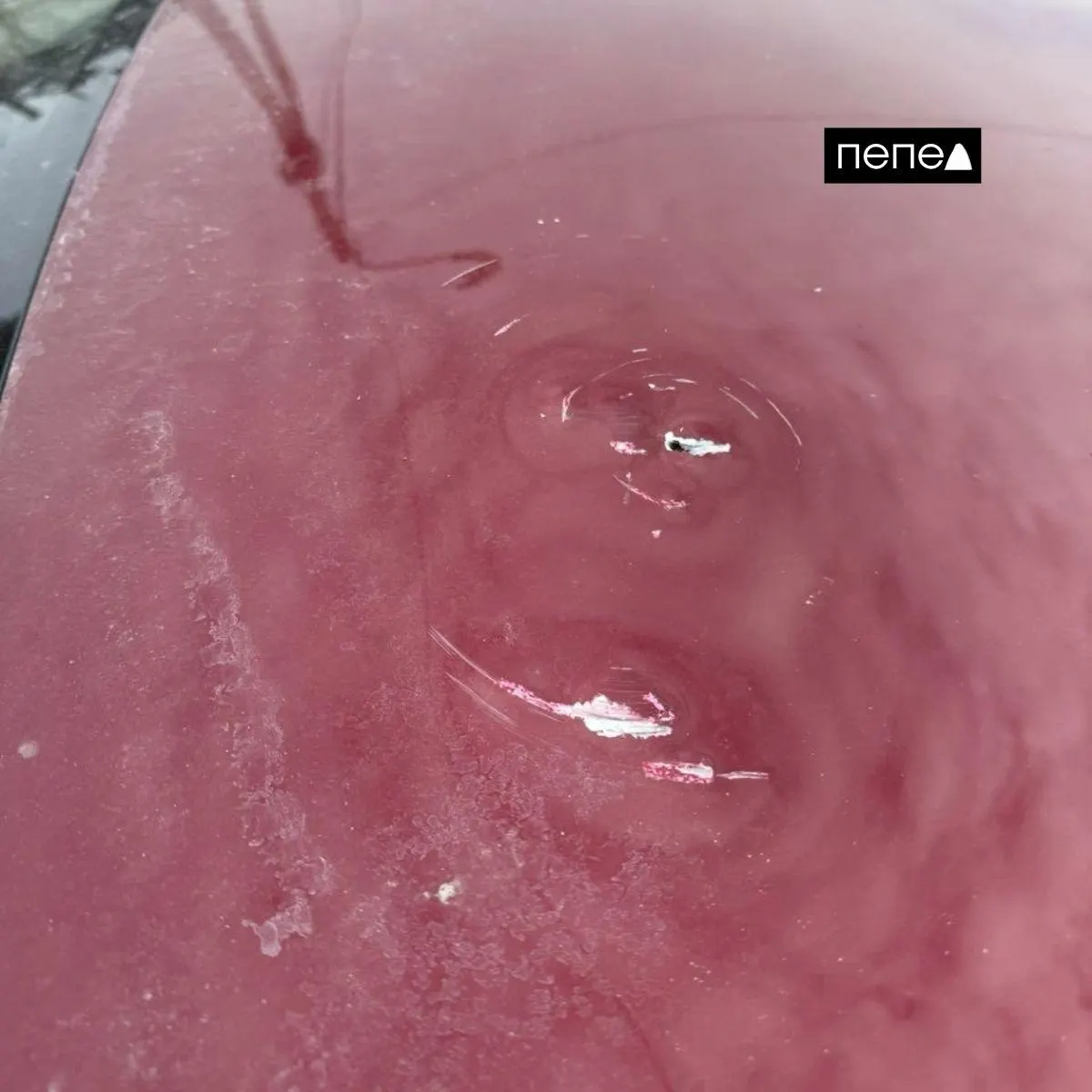 Семья из Белгородского округа дважды пострадала — после второго повреждения им отказали в выплате, поскольку автомобиль зарегистрирован на человека, прописанного в Москве. В администрации пояснили, что выплаты положены только зарегистрированным в Белгородской области гражданам.
