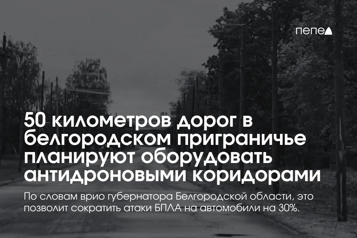 Врио губернатора сообщил, что создание антидроновых коридоров может снизить число атак БПЛА на автомобили почти на треть; работы по установке сетей начались ранее, местные жители добивались усиления защиты трасс.