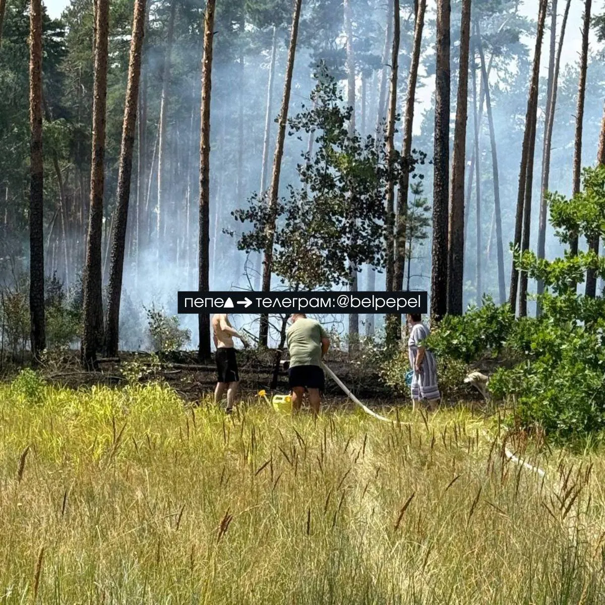 В Титовском бору после падения беспилотника загорелась лесополоса. По словам местных, службы прислали двоих сотрудников на легковой машине, поэтому люди пытаются не допустить распространения огня собственными силами.