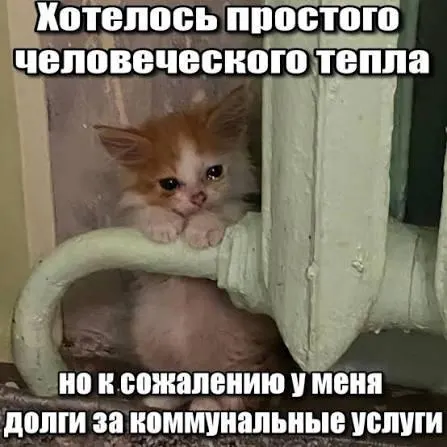 ВС подтвердил, что по истечении трёхлетнего срока исковой давности задолженность по капремонту защищена от принудительного взыскания — это решение важно для покупателей вторичного жилья и наследников.