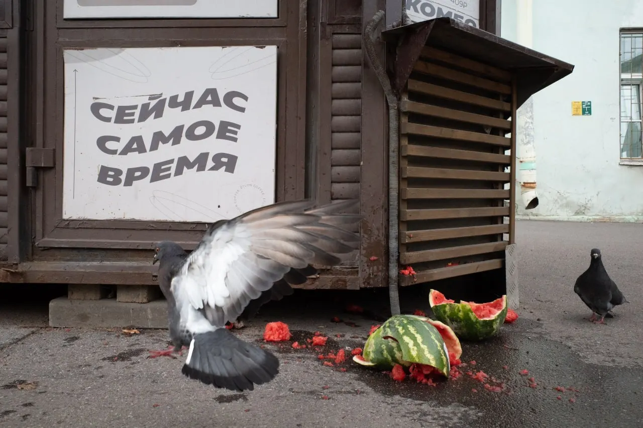 В Петербурге и Ленобласти проходят судебные решения и памятные мероприятия, на повестке дня — выборы, кибератаки и кадровые перестановки в Минобороны.