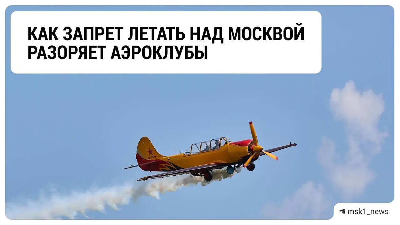 Из-за ограничений на полёты над столицей аэроклубы Подмосковья сталкиваются с падением доходов и неопределённостью будущего.