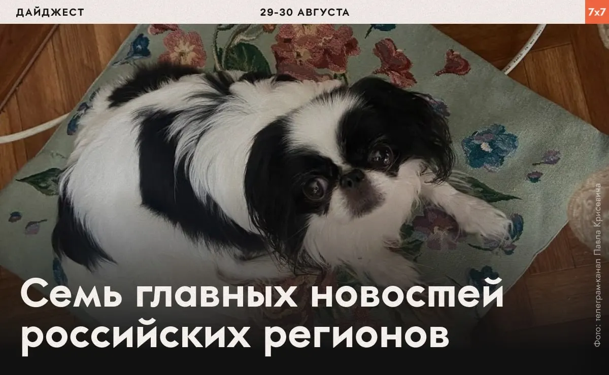 События по регионам: давление на активистов, запреты и судебные разбирательства. Подробности в федеральной сводке.