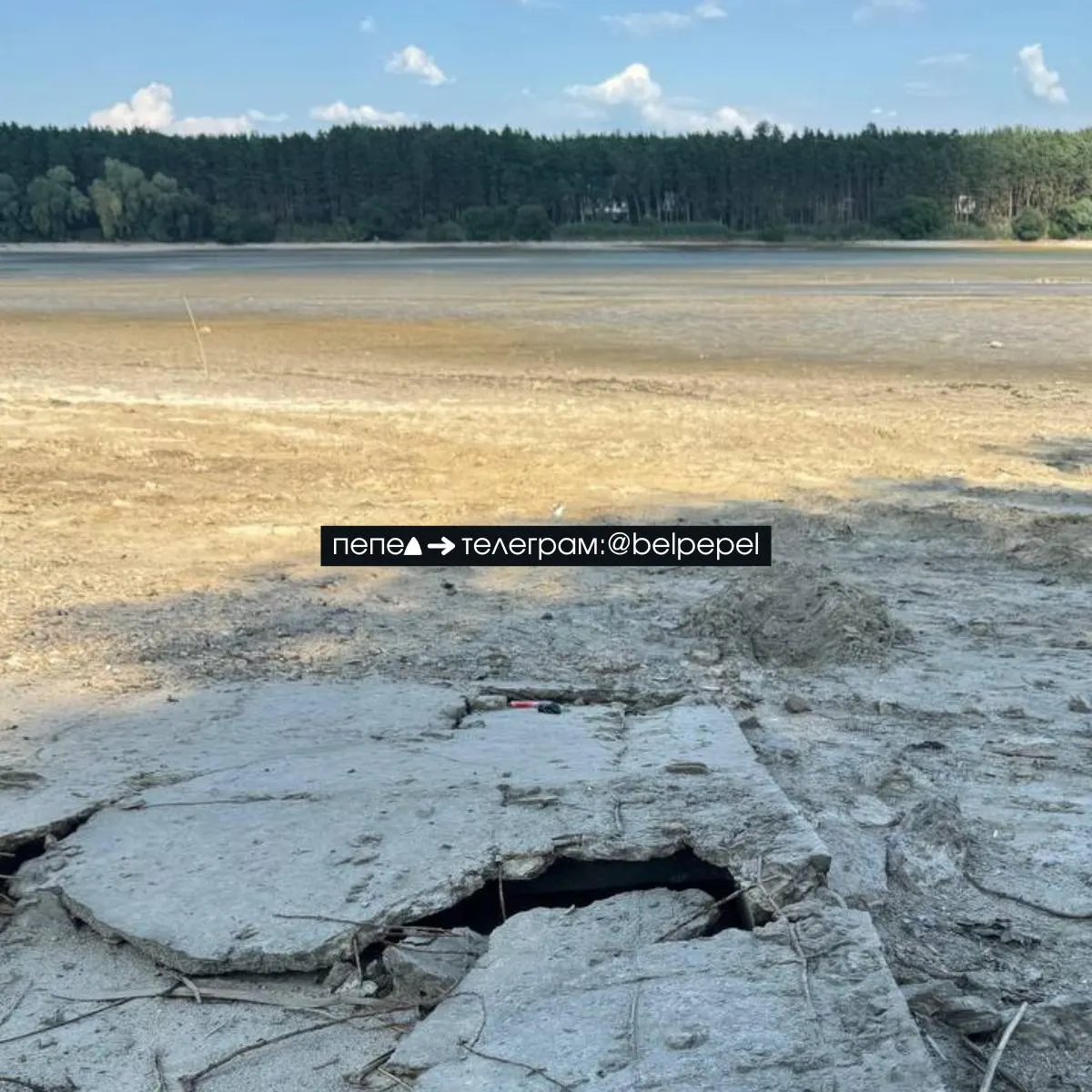 После прорыва плотины Белгородского водохранилища дно водохранилища обнажилось; ниже по течению начались подтопления, гибнет рыба и моллюски; фиксируются экологические последствия и связанные с конфликтом события.