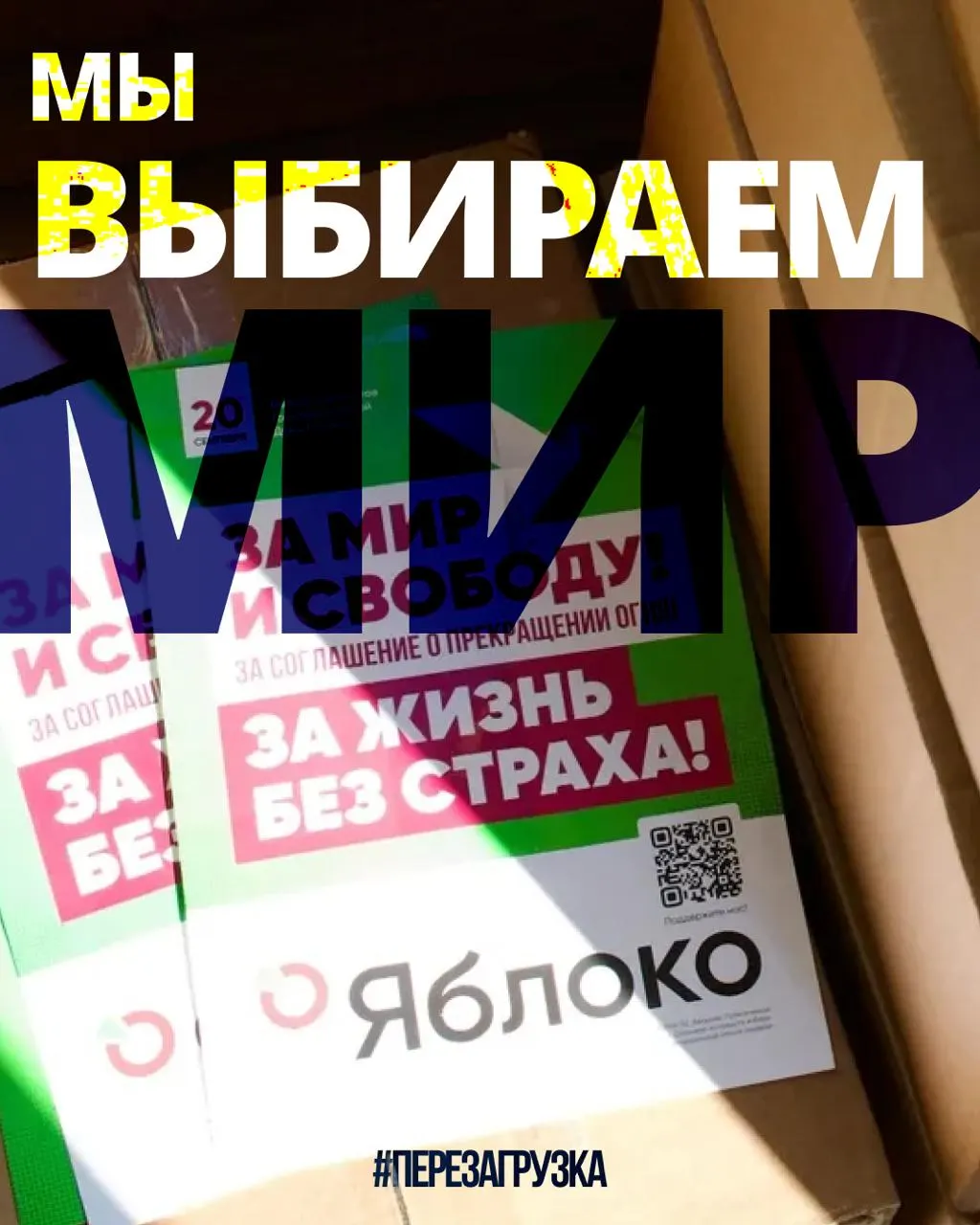 В 53 регионах проходят кампании 135 кандидатов от партии. Кампания набирает обороты и призывает к миру.