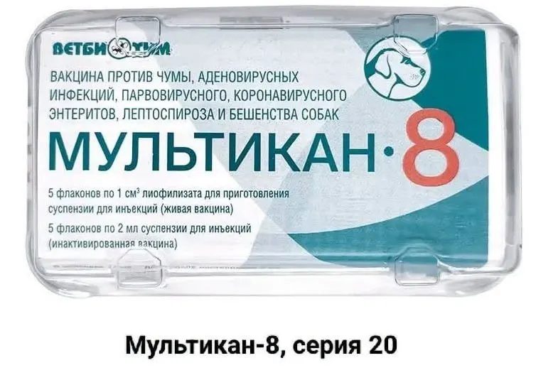 Пострадавшие требуют выяснить причины гибели десятков собак после прививок и проверить вакцину на наличие вируса Ауески; расследование поручено надзорным органам.