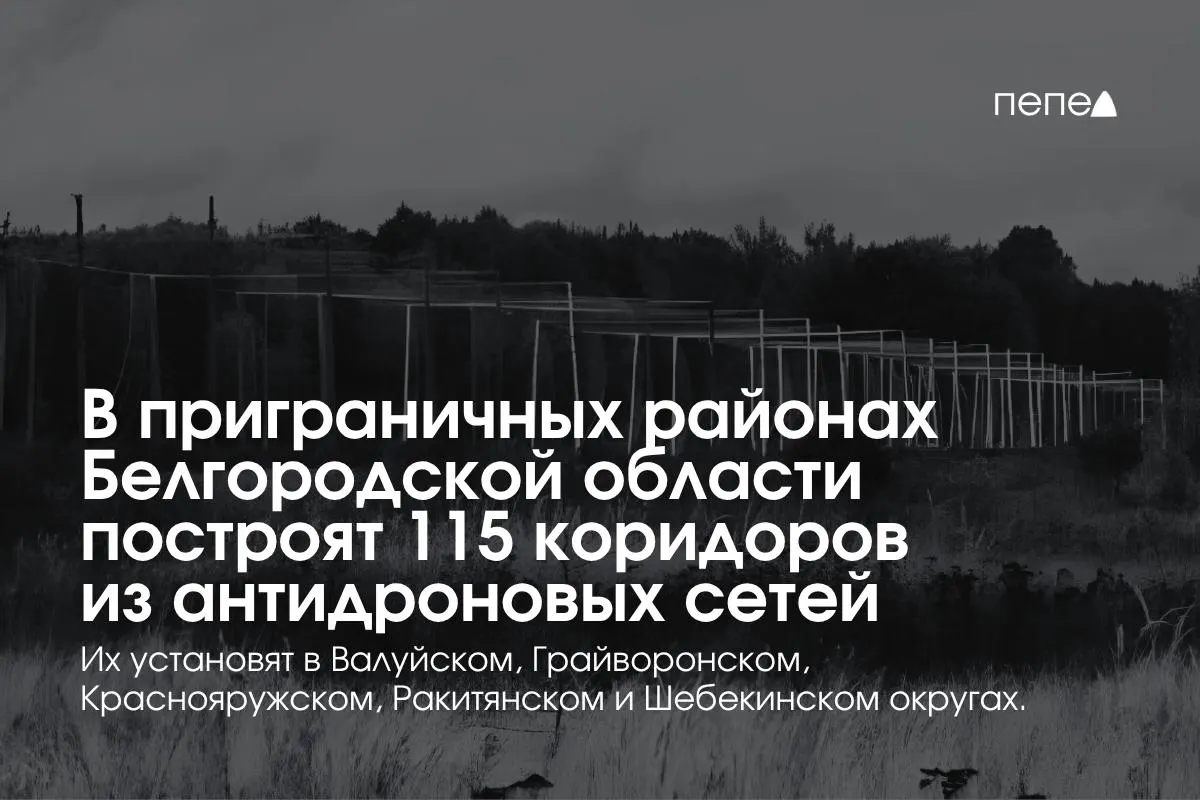 115 антидроновых коридоров будут размещены вдоль опасных участков Белгородской области; помимо сетей противодействия дронам планируется использование РЭБ и мобильной огневой поддержки.