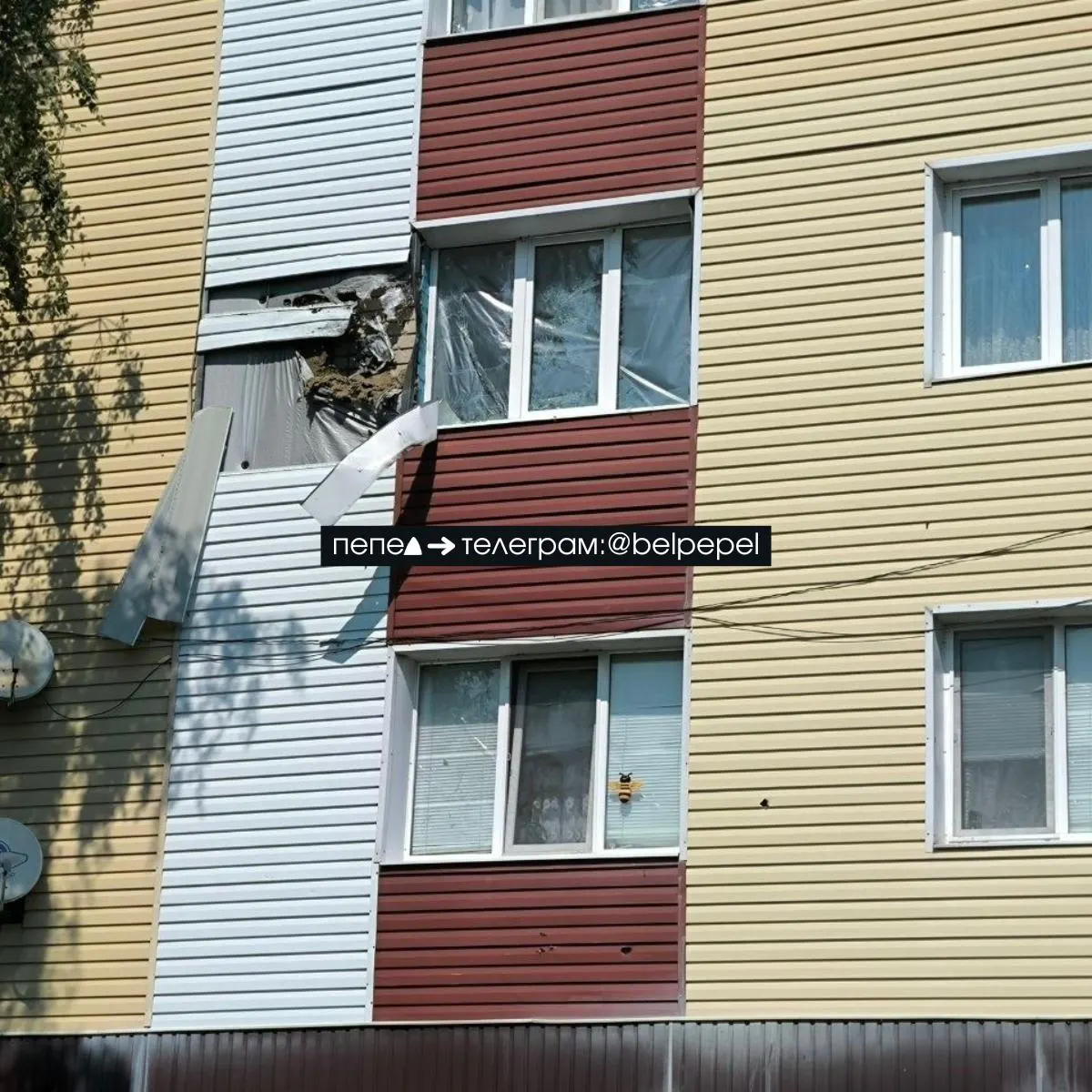 Из-за атак дронов в Белгородской области жители сообщают о гибели птиц, отсутствии воды и проблемах с вывозом мусора.
