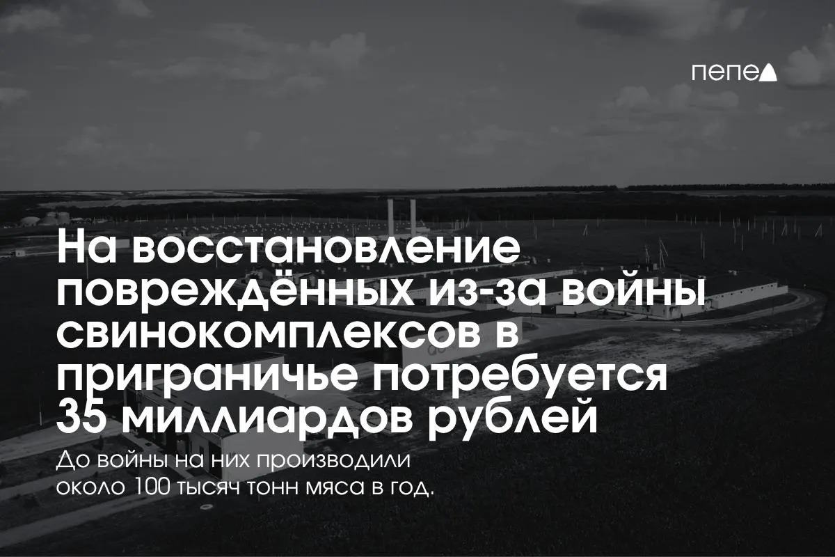 В Белгородской, Курской и Брянской областях планируется вложить около 35 млрд рублей в восстановление свиноводства после обстрелов и атак БПЛА; растут затраты на безопасность и инфраструктуру, часть ферм временно остановлена.
