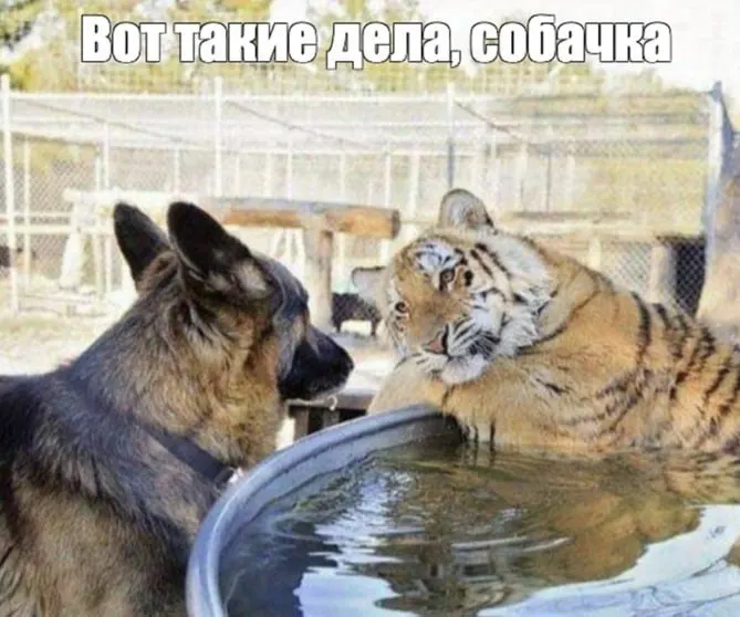 Госорганам предстоит решить вопрос об взимании платы за международный трафик для пользователей, превышающих 50 ГБ в месяц в сетях 5G; сроки обсуждения могут измениться из-за технических ограничений операторов.